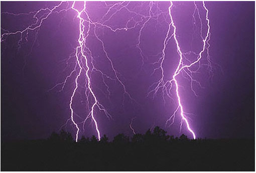 Tom Pascale's Lightning Photo TREESTRIKE